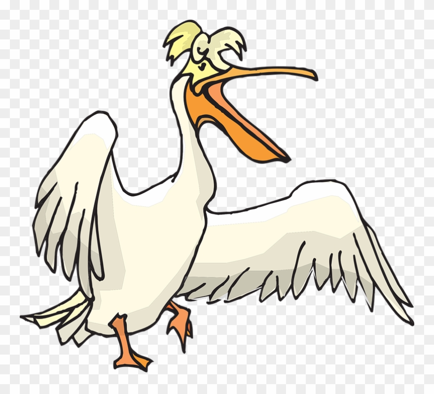 Pelican Clip Art - Pelican Clipart Png Transparent Png