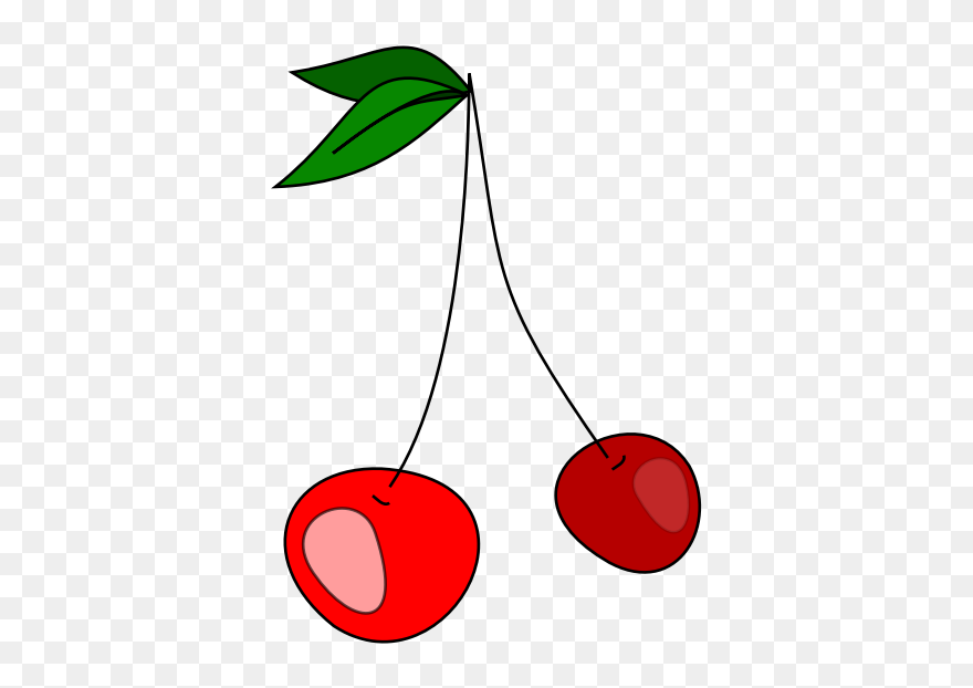 All Photo Png Clipart - Clip Art Transparent Png