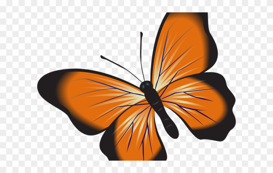 Insect Clipart Butterfly - Clip Art - Png Download