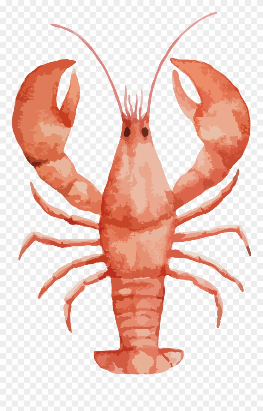 Lobster Watercolor Painting Seafood Painted Large Transprent - Lobster Water Color Clipart