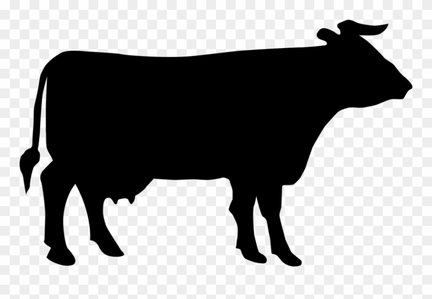 Beef Entry Forms - Cow Silhouette Clipart