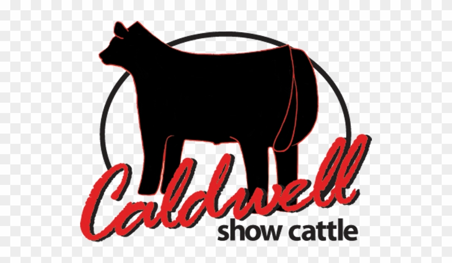 Branding Your Company - Cat Clipart