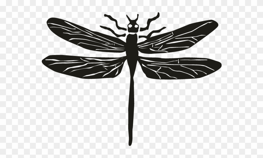 Smock Motif Smockdragonflymotif - Dragonflies And Damseflies Clipart