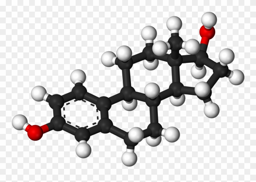 Estrogen Worsens Anaphylaxis In Female Mice - Estradiol Png Clipart