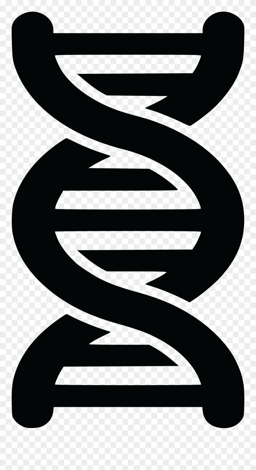 Free Clipart Of A Black And White Dna Strand Double - Double Helix Png Transparent Png