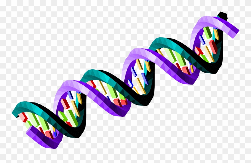 Big Image - Ds Dna Strand Transparent Clipart