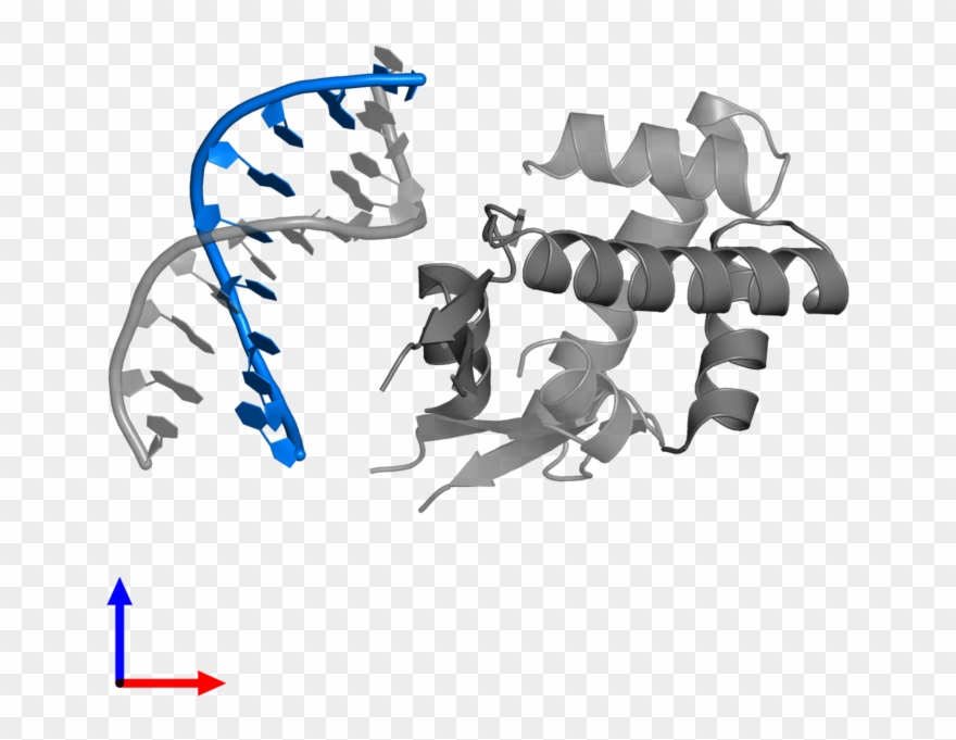 <div Class='caption-body'>pdb Entry 4yew Contains 1 - Protein Data Bank Clipart