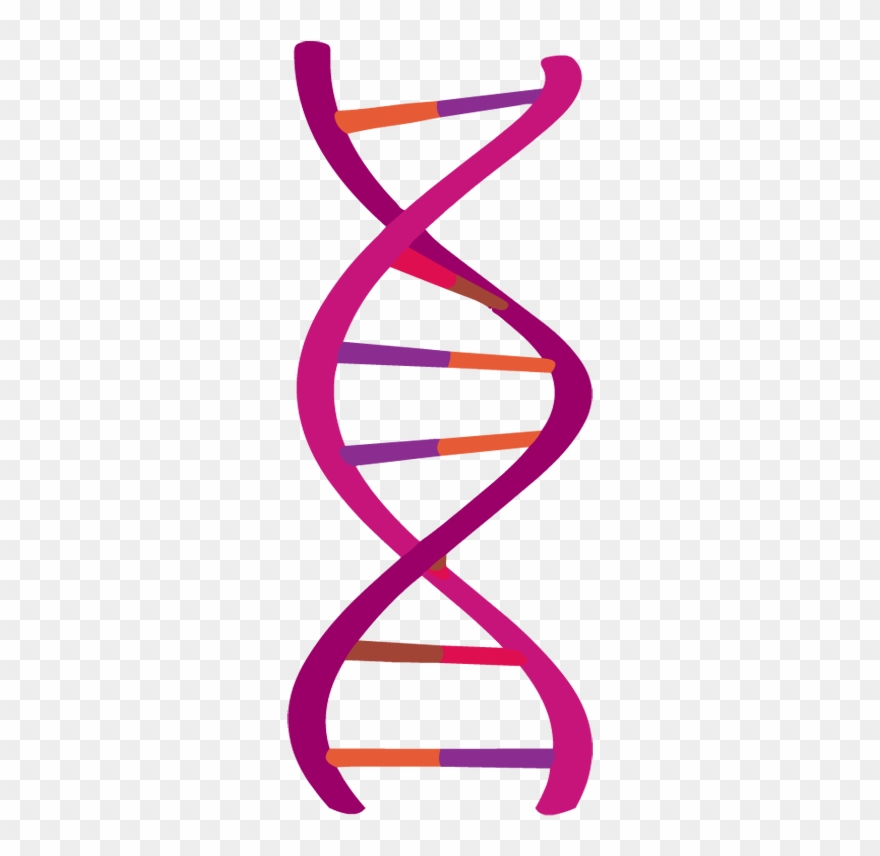 Dna Clipart