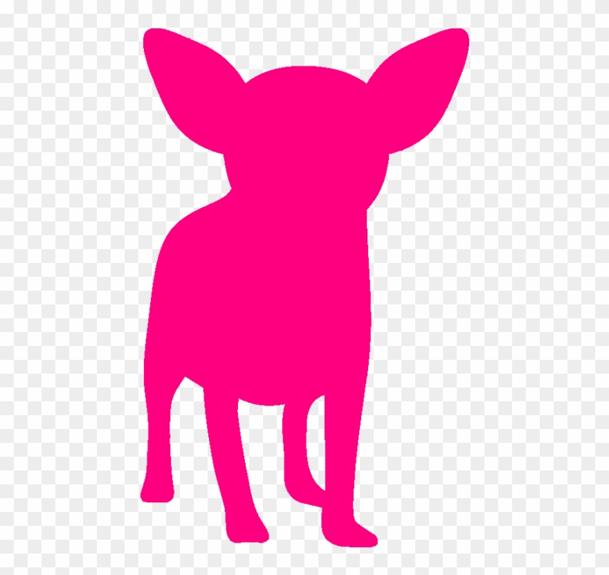 Pink Chihuahua Transparent Clipart