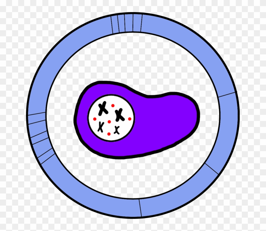 Interlab Study Clipart