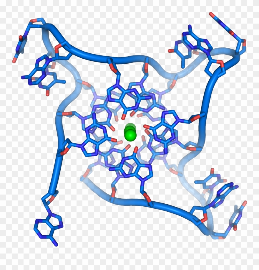 Quadruplex Structures[link] - G Quadruplex Clipart