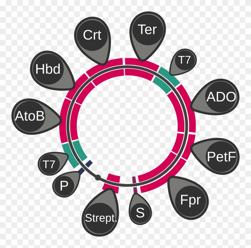 Propane Plasmid - Taiwan Vlag Clipart