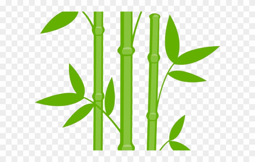 Black And White Clipart Bamboo - Bamboo Clipart - Png Download