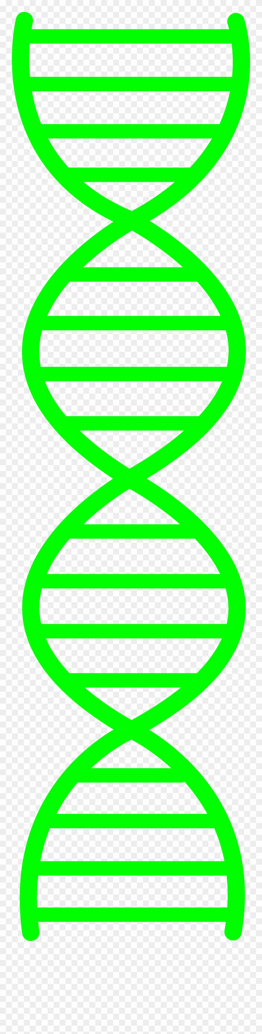 Green Dna Design - Dna Double Helix Black And White Clipart