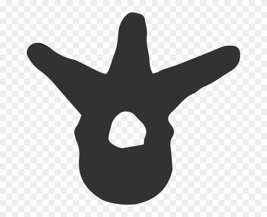 Chiropractic Clipart