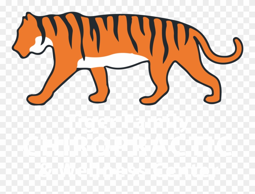 Tiger Family Chiropractic - Side Tiger Clip Art - Png Download