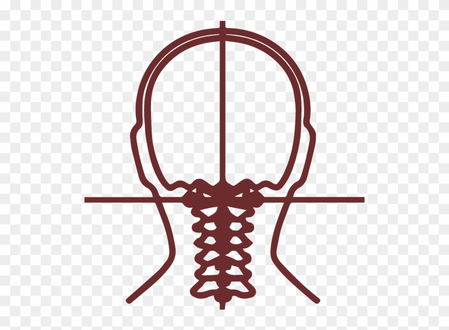 Upper Cervical Chiropractic Adjustment - Vertebral Column Clipart