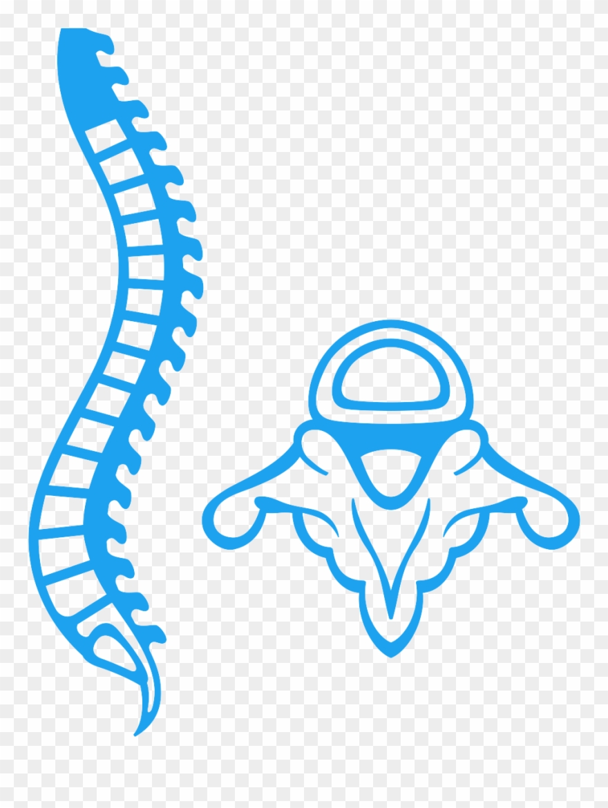 Chiropractor Sandton Spine - Medula Espinal Vectores Clipart