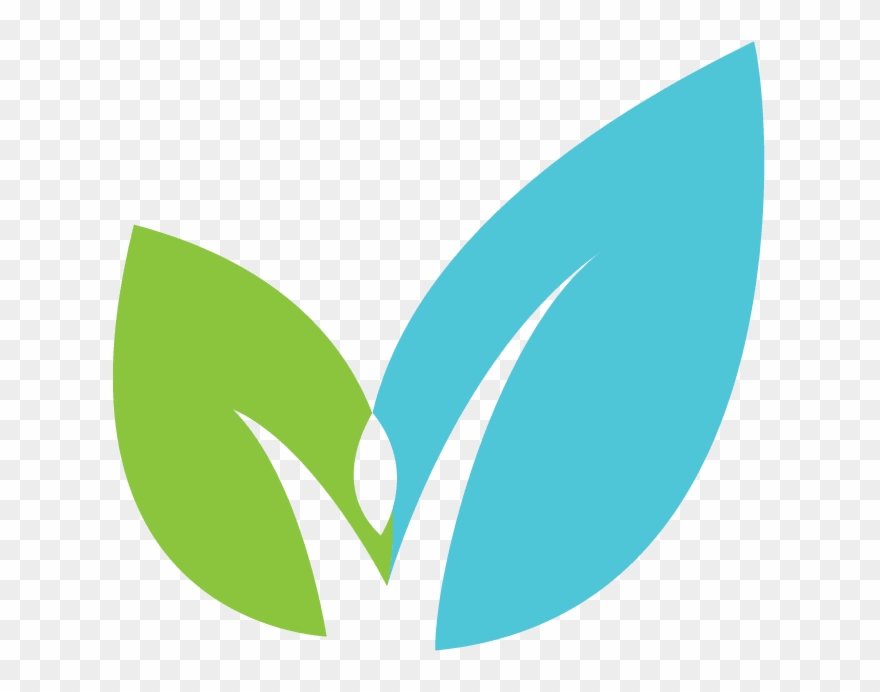 All About Salt - Graphic Design Clipart