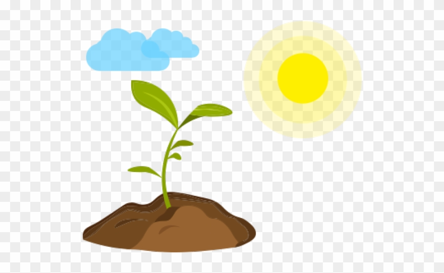 Vector Graphics Clipart