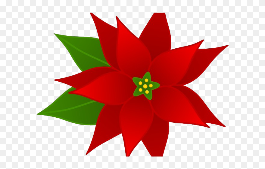 Christmas Poinsettia Clipart - Transparent Poinsettia Clipart - Png Download
