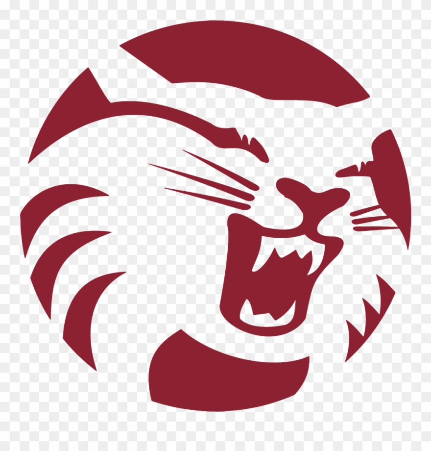 Wildcat Icon - Csu Chico Clipart