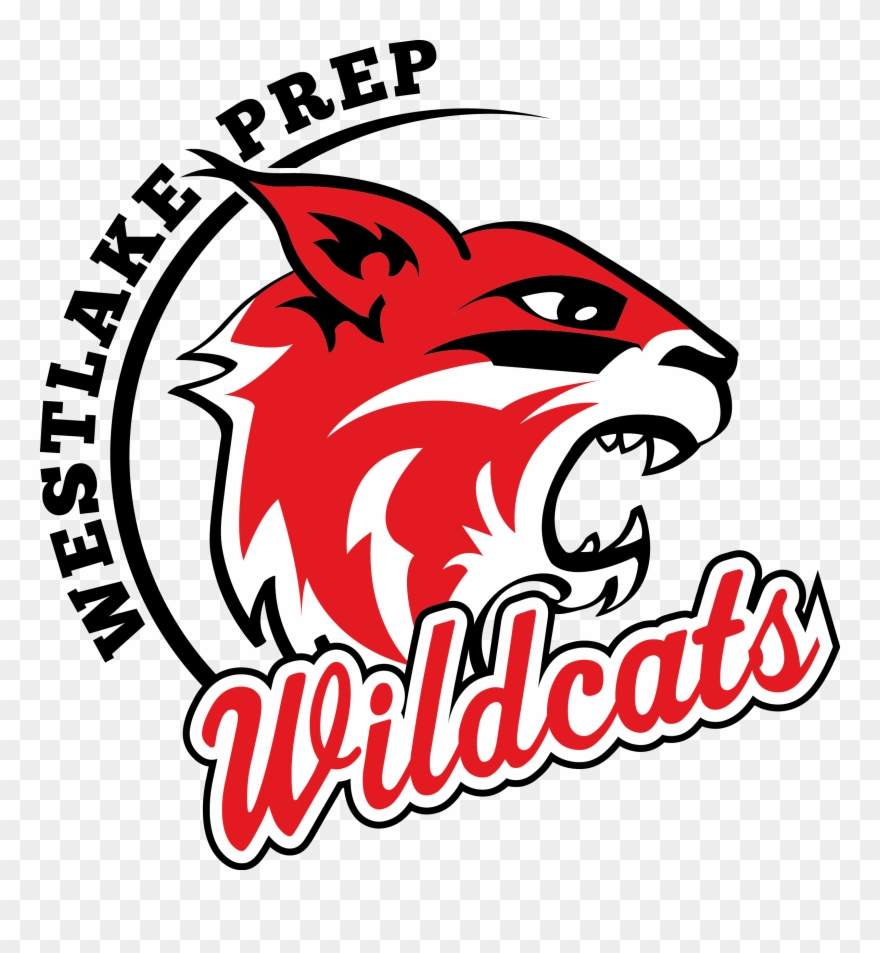 Middle School Wildcat Camp/meet The Teacher Clipart