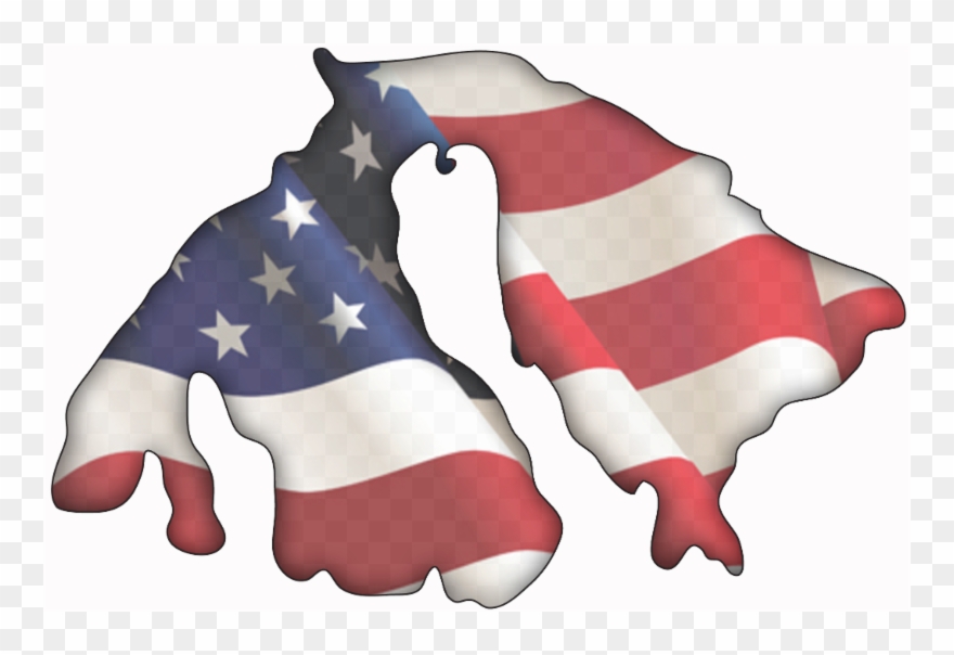 Lance Evans @orcaslance - Illustration Clipart