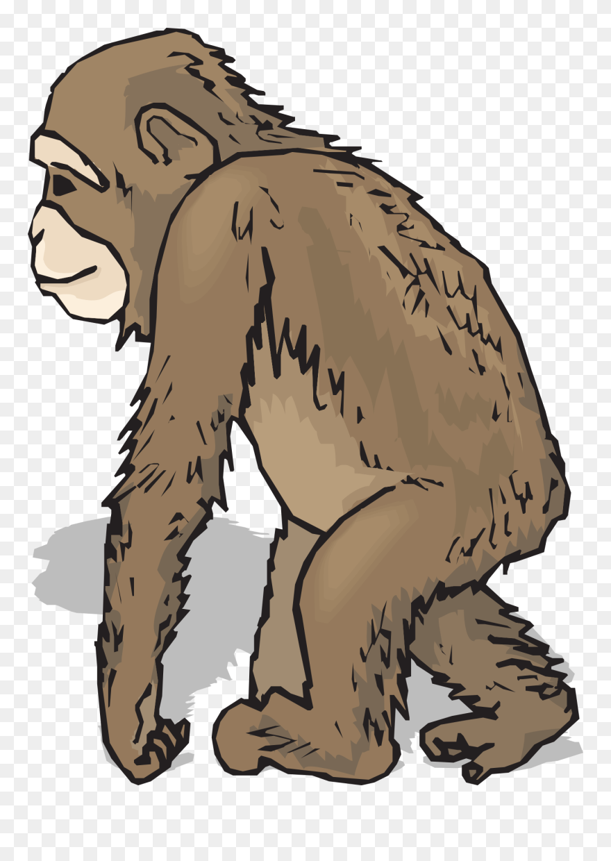 Chimpanzee Clipart Realistic - Animals With Fur Clipart - Png Download