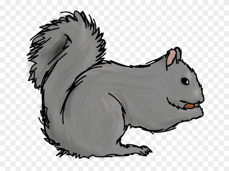 My Name Is Sally, I Major In Nutcracking Here At Skidmore - Fox Squirrel Clipart