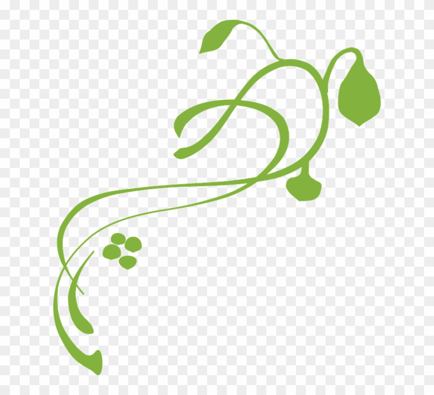 Vines Clip Art - Png Download