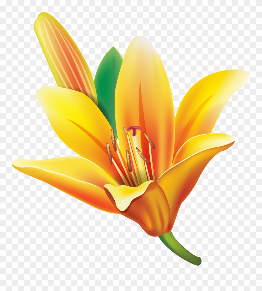Yellow Bell Flower Png Clipart