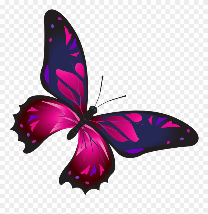 Beautifile Nails - Gambar Kupu Kupu Cantik Clipart