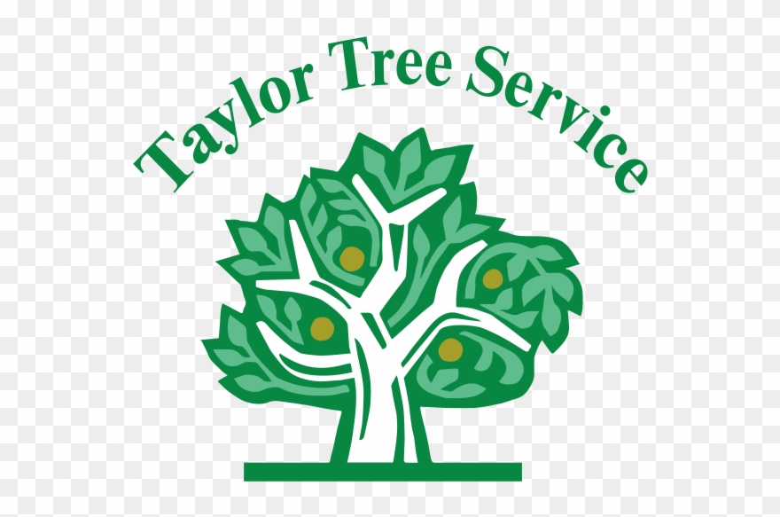 Taylor Tree Service - People Say Walking On Water Is Miracle Clipart