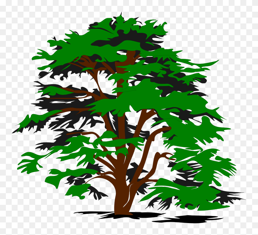 We Do Our Best To Bring You The Highest Quality Cliparts - Vector Trees Png Transparent Png