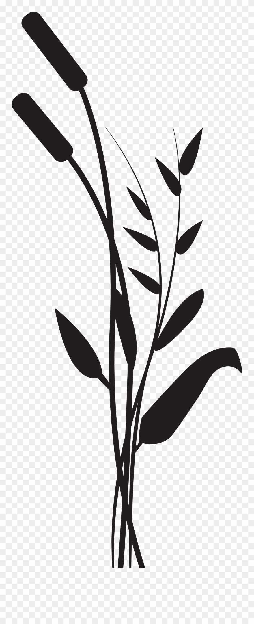Bulrushes Clipart Silhouette - Png Download