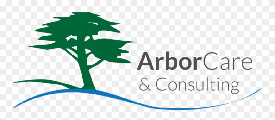 Arborcare And Consulting Clipart