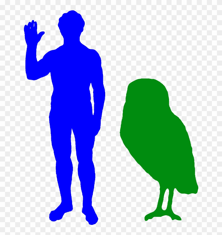 Cuban Giant Owl Big Animals - Biggest Owl Compared To Human Clipart