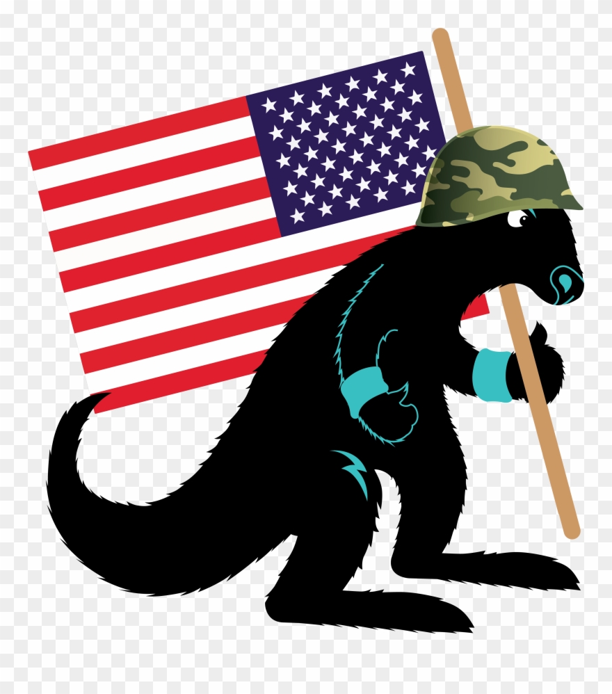 If You're A Vet, And Interested In Launching The Kanga - American And Indonesian Flag Clipart
