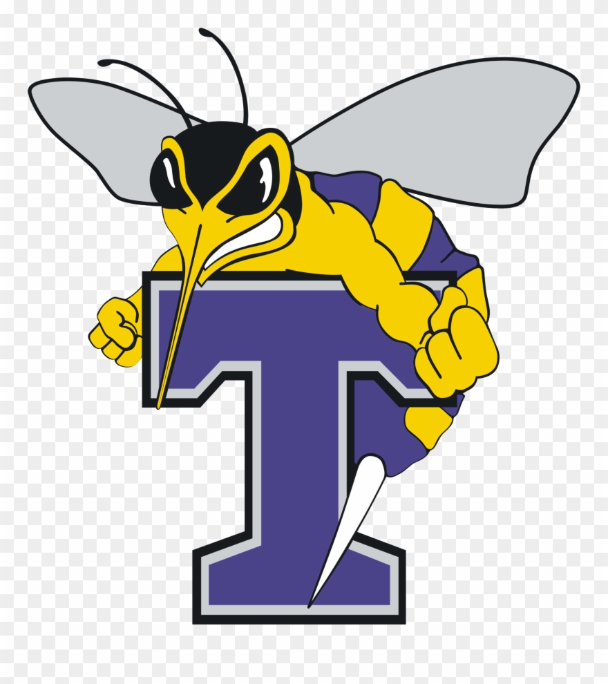 Stinger Athletics - Florence Darlington Tech Mascot Clipart