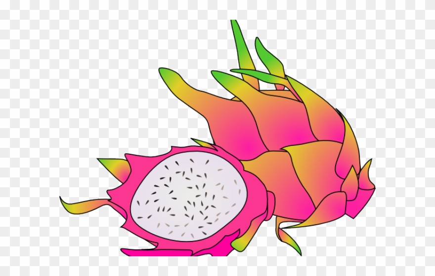 Pitaya Clipart Cartoon - Dragon Fruit Clipart - Png Download