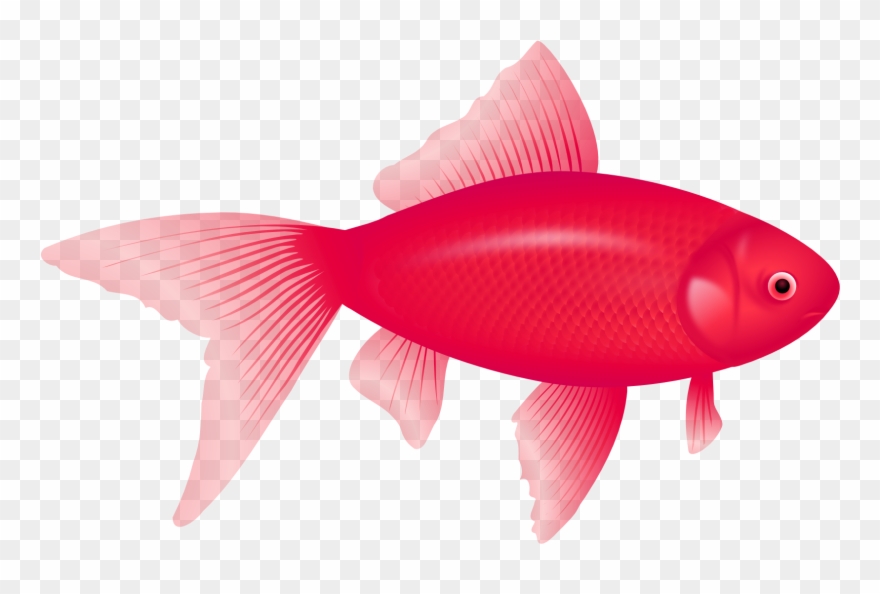 One Fish, Two Fish, Red Fish, Blue Fish Clip Art - Transparent Background Clipart Fish - Png Download