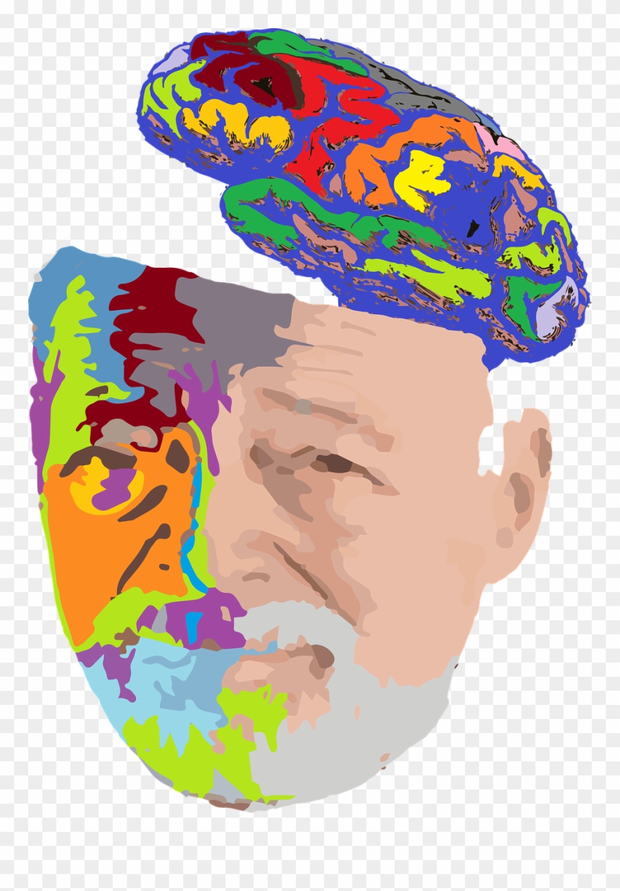 Old Clipart Orang Tua - Abuelo Cerebro - Png Download