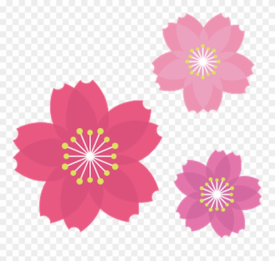African Daisy Clipart