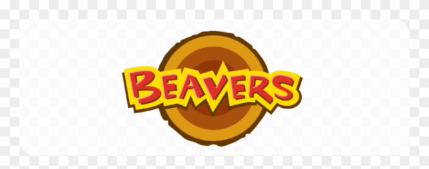 Please Fill In The Form If You Have Any Questions Outside - Beaver Scout 25th Anniversary Book [book] Clipart