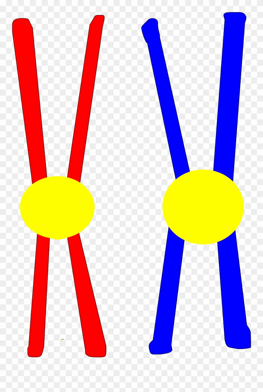 Vector Freeuse File Pair Svg Wikimedia Clipart