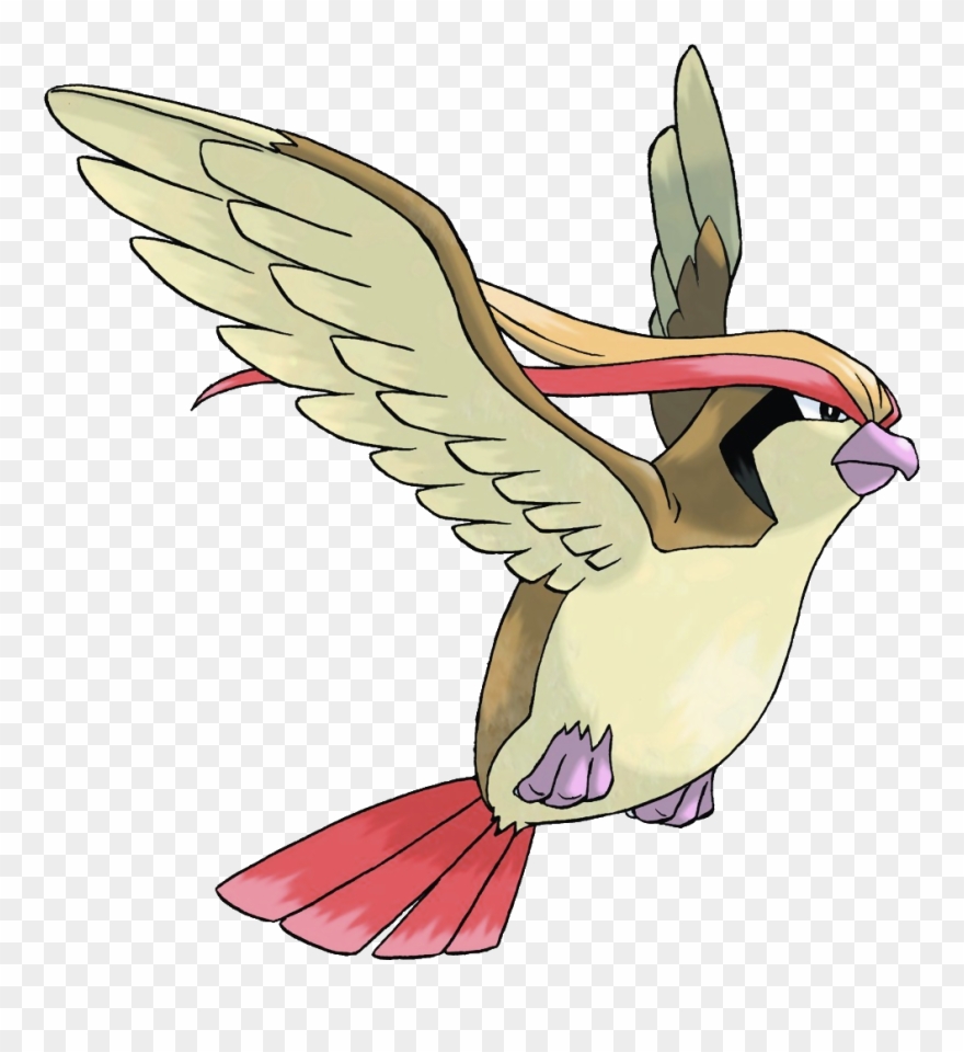 Pidgeot Png Clipart