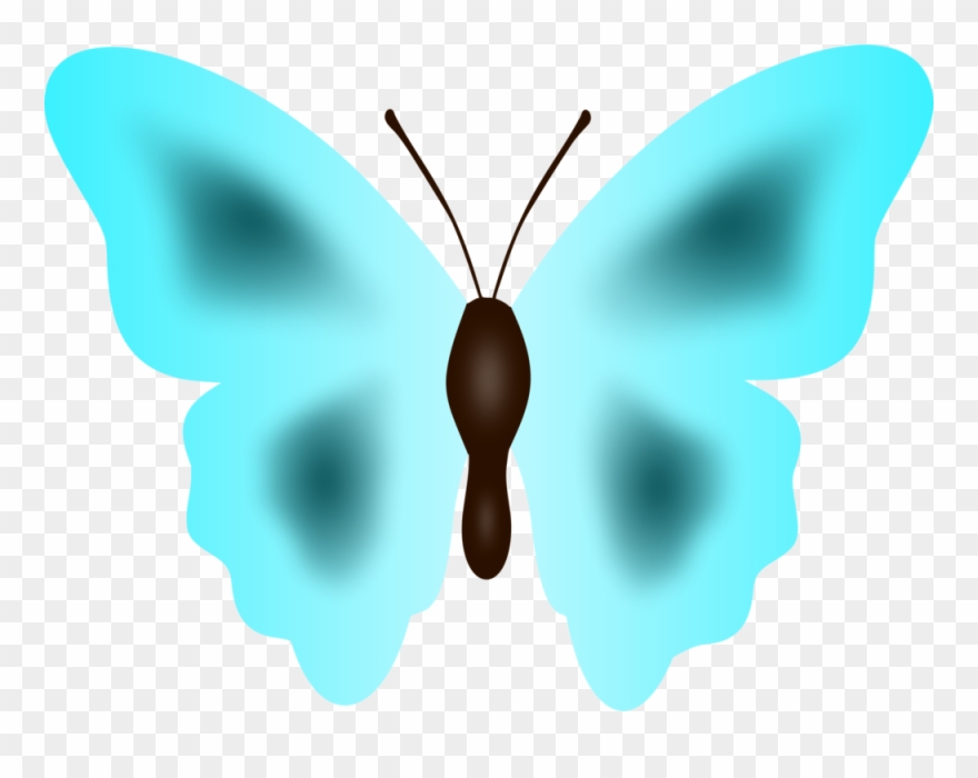 All Photo Png Clipart - Butterfly Transparent Png