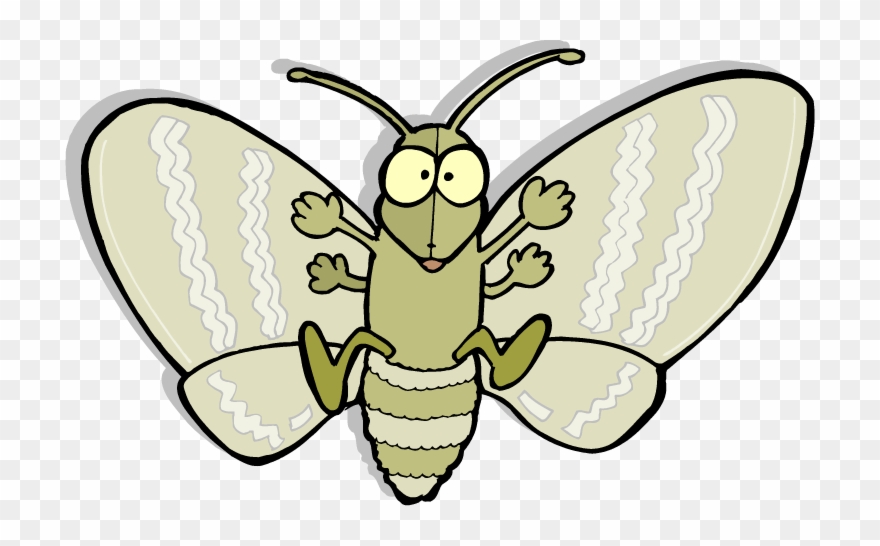 Moth Png Picture - Cartoon Moth Clipart