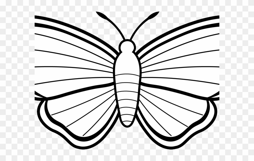 Luna Moth Clipart Coloring Page - Colouring Sheet Of Butterfly - Png Download